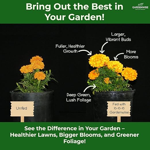 10-10-10 Plant Fertilizer Slow Release - 10 10 10 All Purpose Granular Garden Fertilizer for Vegetables, Tomato, Arborvitae, Shrubs, Rose, Flowers, Fruit, Fig Trees (3 QUARTS)