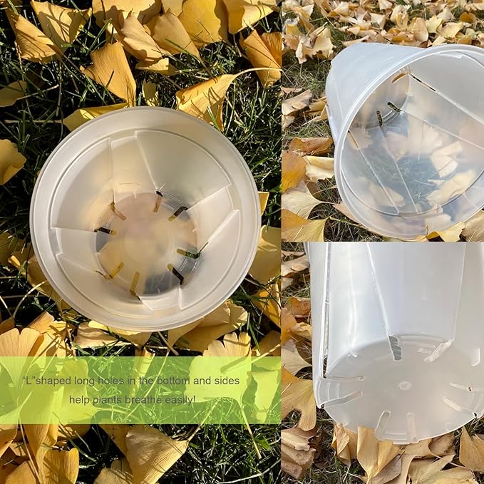 24 pcs 5/6 inch Clear Nursery pots with Trays,Thick Plastic Clear Plant pots with Drainage Holes and Saucers for Orchids,Succulents etc,Outdoor or Indoor use (5/6inch with 24 Trays)