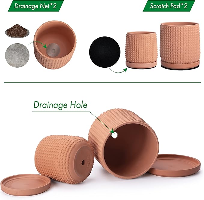 D'vine Dev 6 Inch 4 Inch Terracotta Indoor Planter Pots with Drainage Hole and Saucer, Beaded Design Flower Pots, Set of 2, Terracotta Color, 27-D-U-7