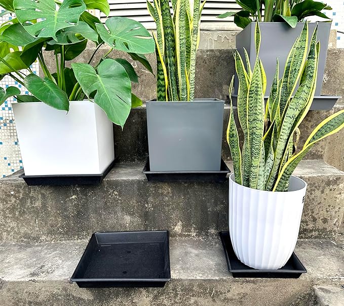Square Plant Saucer 6 Inch 5 Pack6 8 12 14 16 18 20 Heavy Duty Plastic Plant Saucers for Indoors Outdoors, Plant Trays for Pots, Flower Pot No Holes Plant Drip Trays