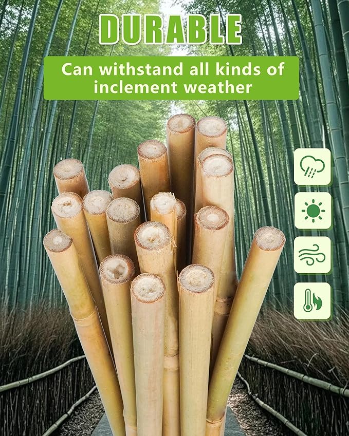 2ft Natural Bamboo Plant Stakes for Tomatoes, Beans, Flowers, Potted, Climbing Plants 25pcs