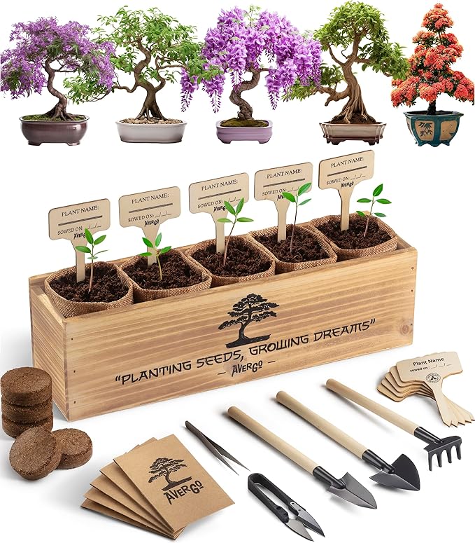 Bonsai Tree Kit – 5X Unique Japanese Bonzai Trees | Complete Indoor Starter Kit for Growing Bonsai Plants with Tools & Planters – Gardening Gifts for Women & Men