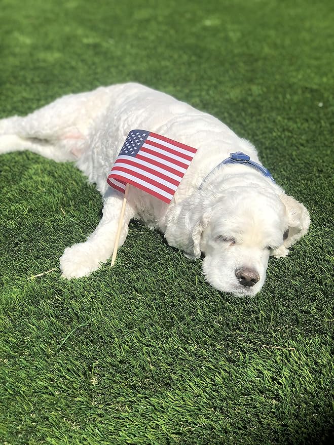 American Flags on Stick - Handheld Spearhead US Flag for 4th of July, Memorial Day Event Decorations - Patriotic Decor for Indoors & Yard - Wooden Stick, Cotton Fabric (4"X6" - 25 Pack)