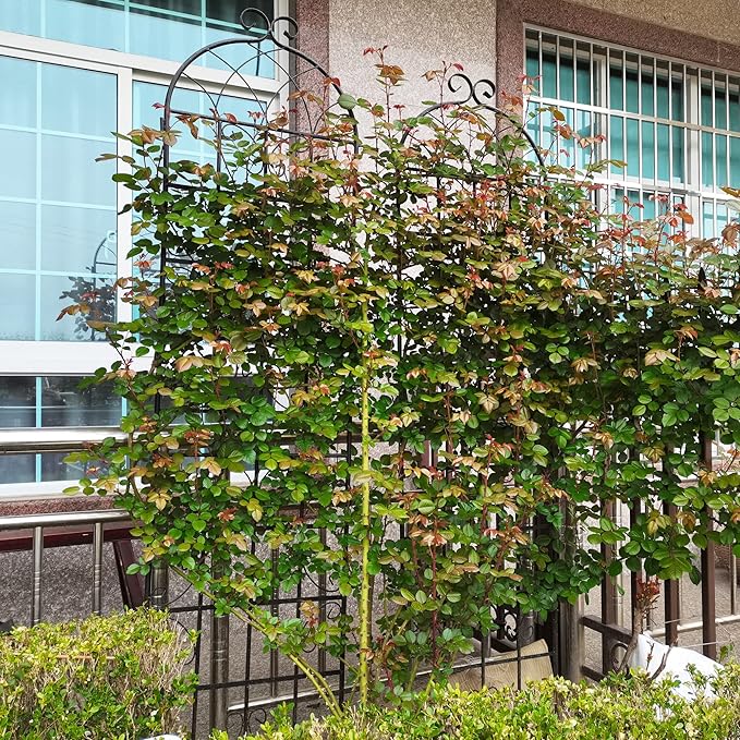 6 Pack Metal Garden Trellis 86.7" H Garden Fence Rustproof Trellis for Climbing Plants Support Roses Flower Outdoor Lawn, Black 7.2FT Tall