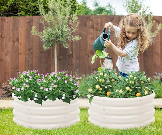 2-Pack 2x1ft Galvanized Raised Garden Bed, Outdoor Planter Bed, Metal Planter Box for Gardening and Planting