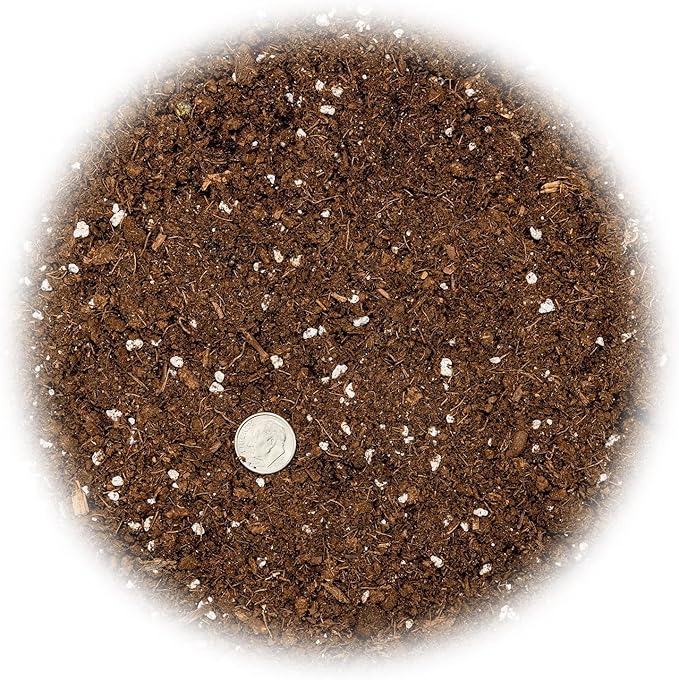 Money Tree Potting Soil, Soil Mix for Planting or Repotting Guiana Chestnut, Soil Blended to Properly Grow Money Tree Plants - (2 Quart Bag)