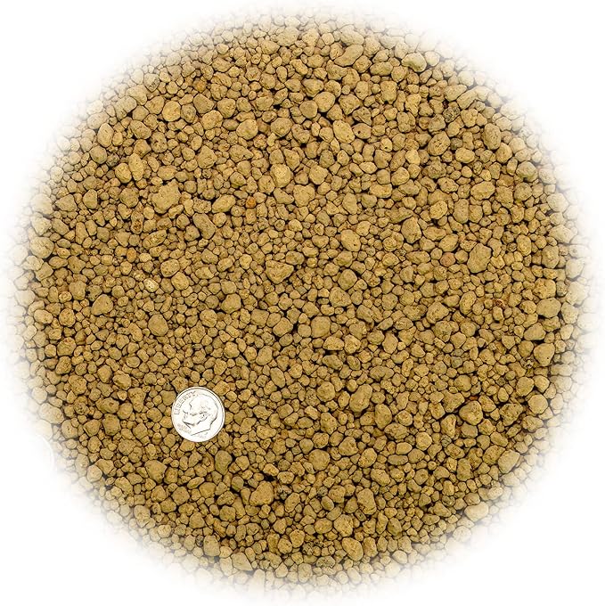 Japanese Hyuga Pumice - 10 Quart - Premium Additive for Orchid & Bonsai Tree Soil |Professional Imported Sifted and Ready to Use (2 Bags of 5 Quart)