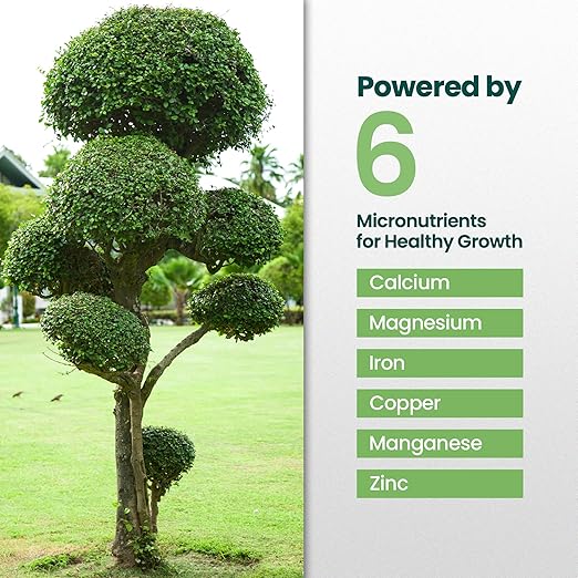 16oz Tree and Shrub Plant Food - Makes 16 Gallons of Tree and Shrub Fertilizer, Liquid Plant Fertilizer for Healthy Roots, Foliage & Year-Round Growth, Nutrient-Rich Formula for All Trees & Shrubs